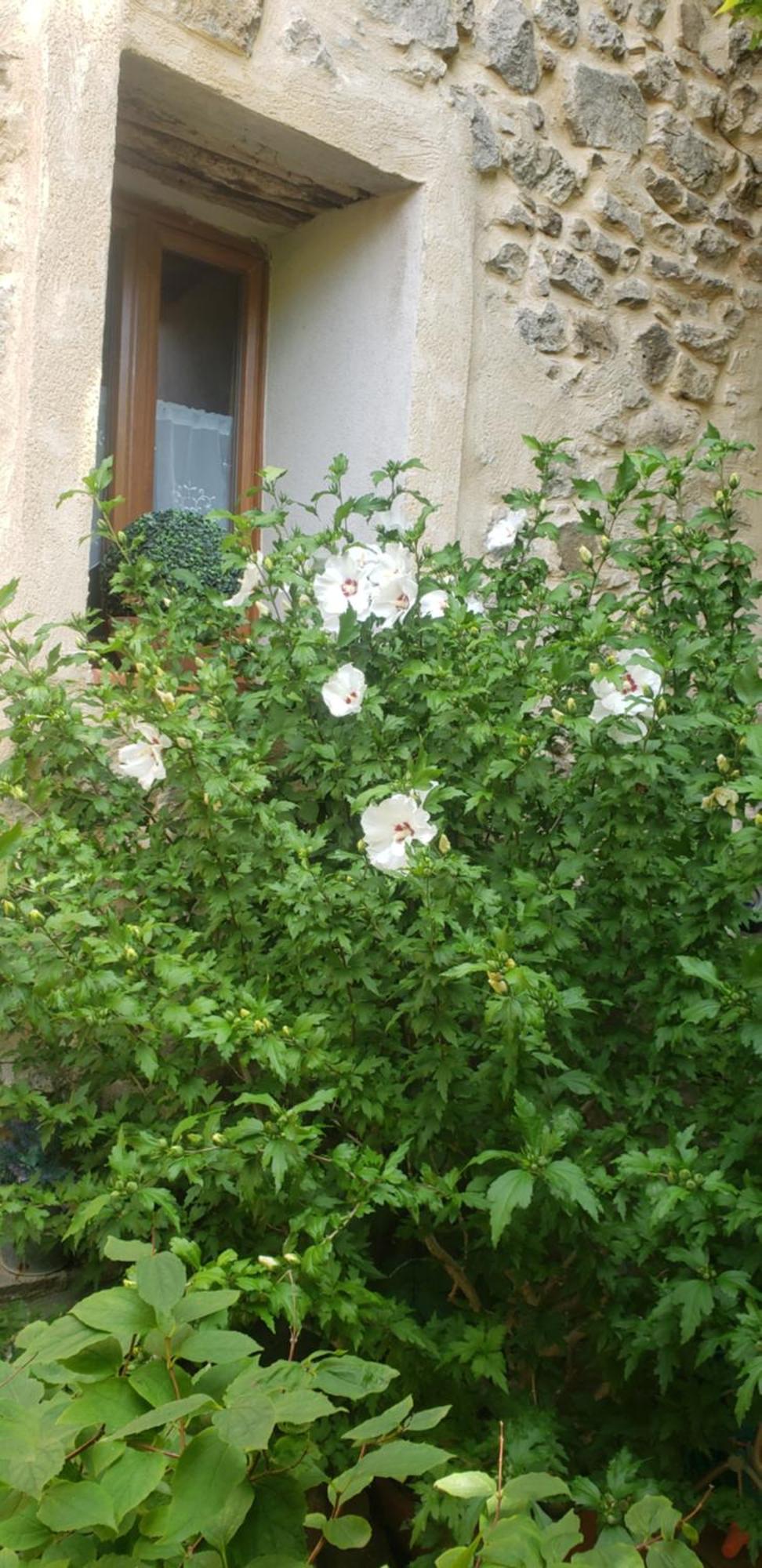Le Balcon Apartment Camps-sur-l'Agly Exterior foto